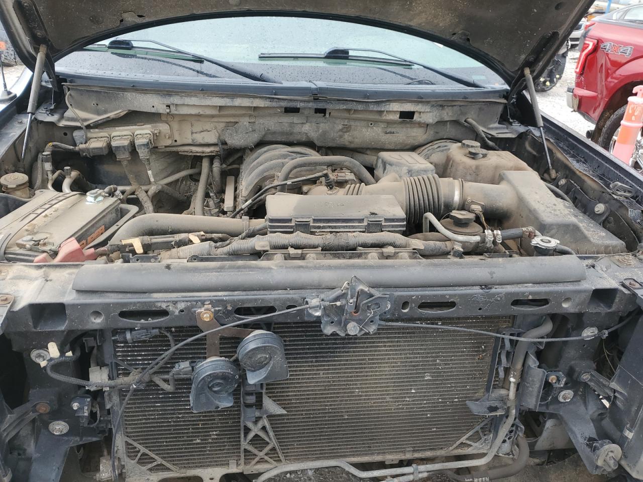 2009 Ford F150 Supercrew VIN: 1FTRW14829FA65695 Lot: 84202345