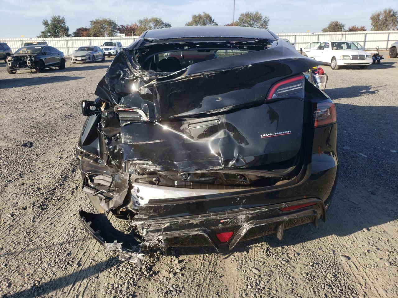 2023 Tesla Model Y VIN: 7SAYGDEF7PF767569 Lot: 82751065