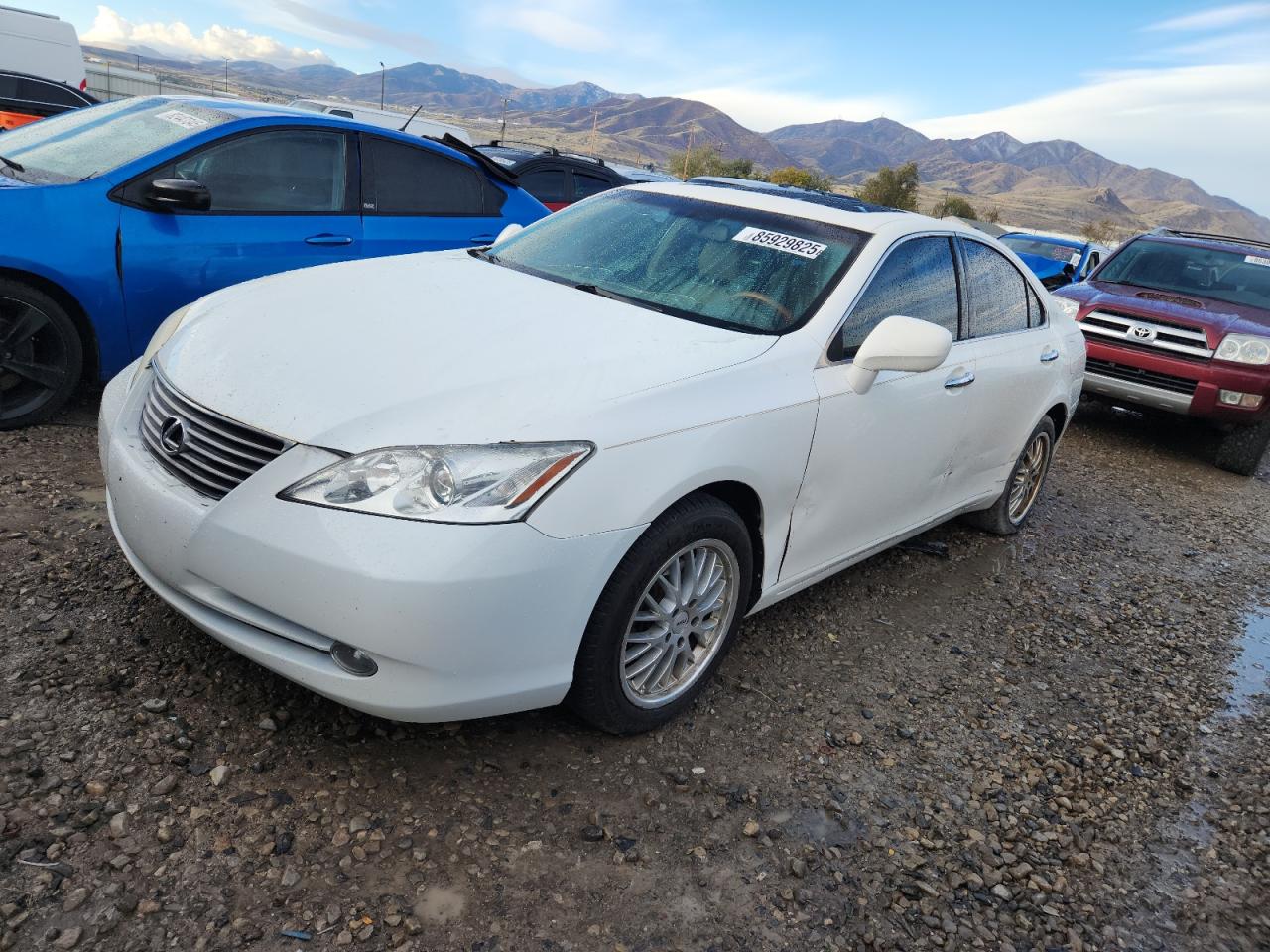 2007 Lexus Es 350 VIN: JTHBJ46G772018980 Lot: 85929825
