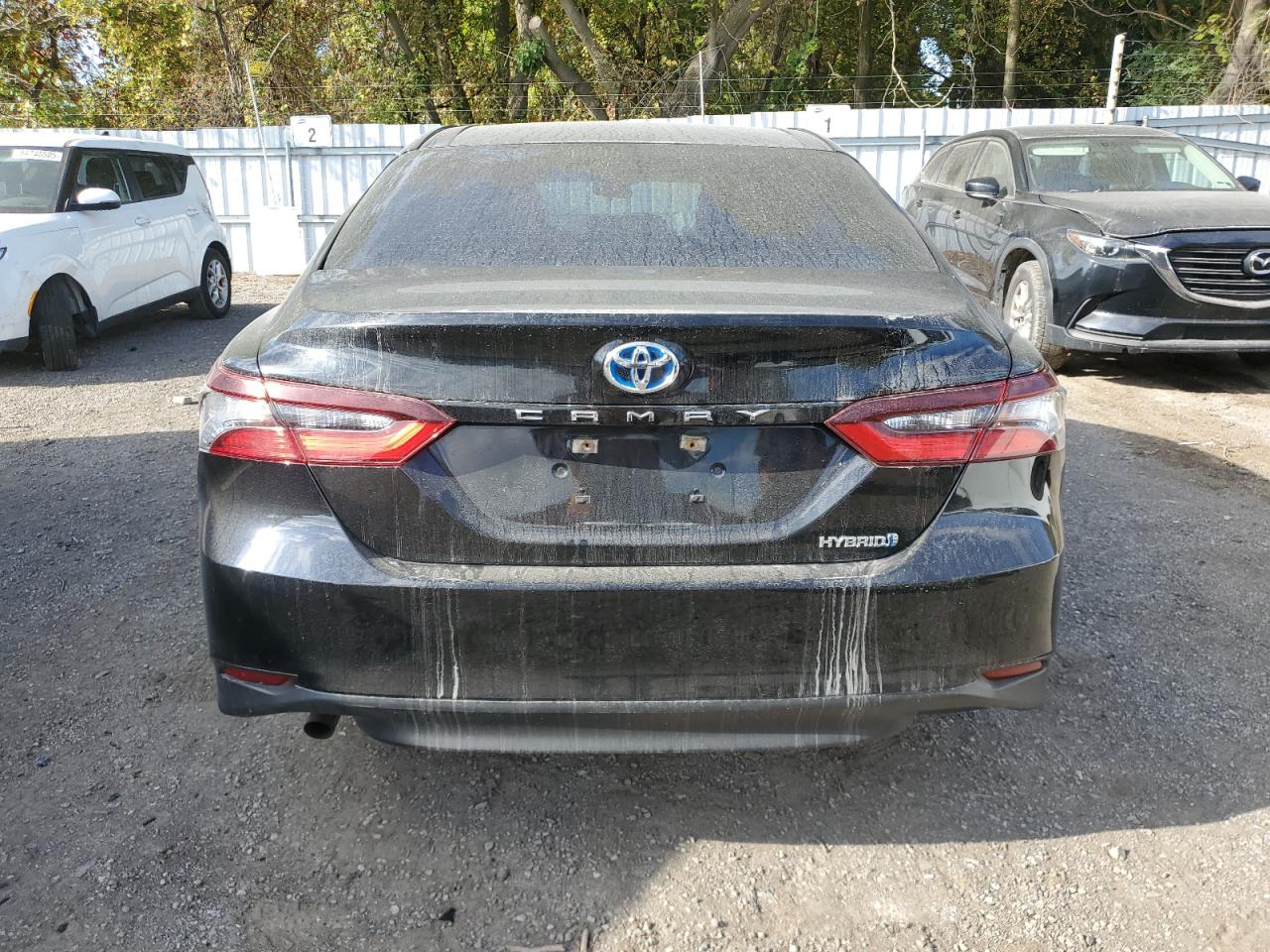 2021 Toyota Camry Le VIN: 4T1C31AKXMU557101 Lot: 86293265