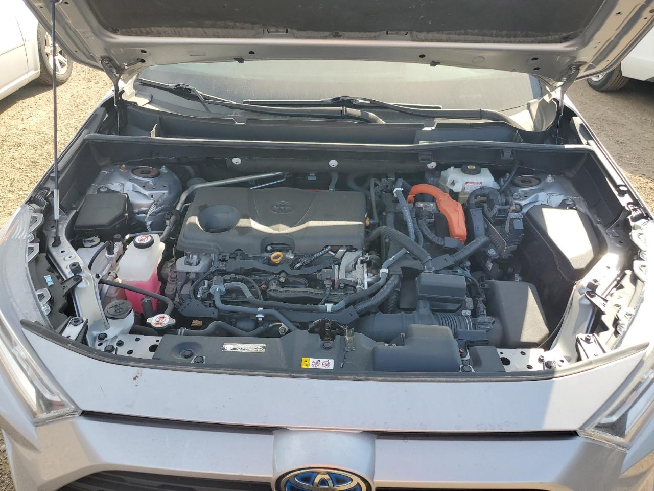 2021 Toyota Rav4 Xle VIN: 4T3RWRFV3MU016269 Lot: 84951355