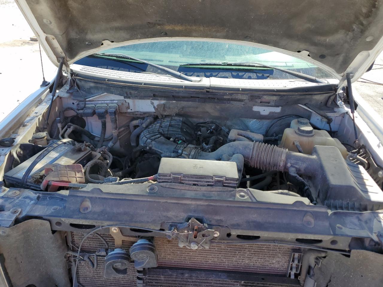 2011 Ford F150 VIN: 1FTMF1CM7BFB03632 Lot: 84797585