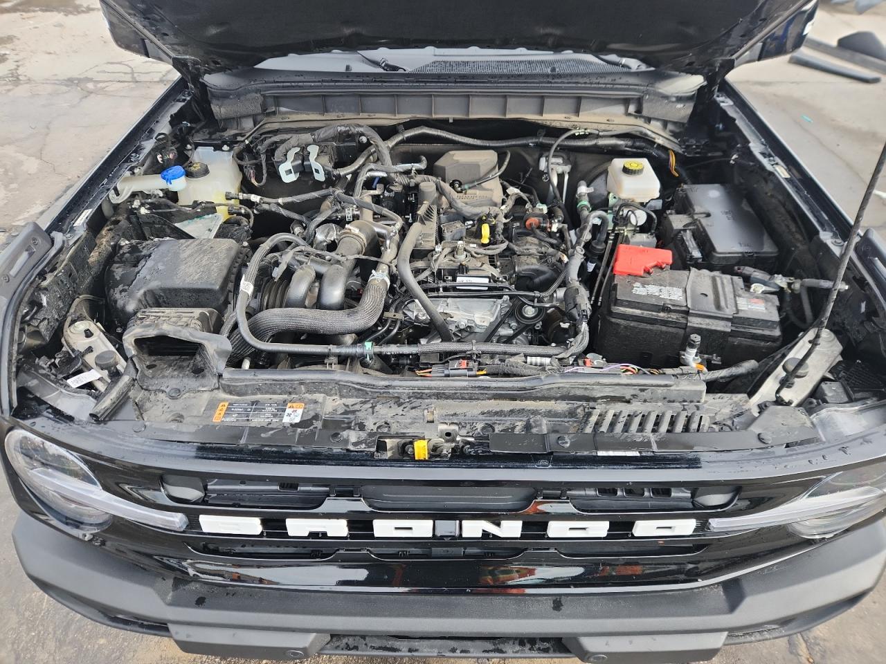 2024 Ford Bronco Outer Banks VIN: 1FMDE8BH2RLA99402 Lot: 90545515