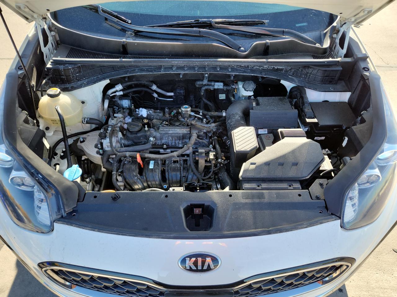 2020 Kia Sportage Ex VIN: KNDPNCAC3L7795356 Lot: 87243725