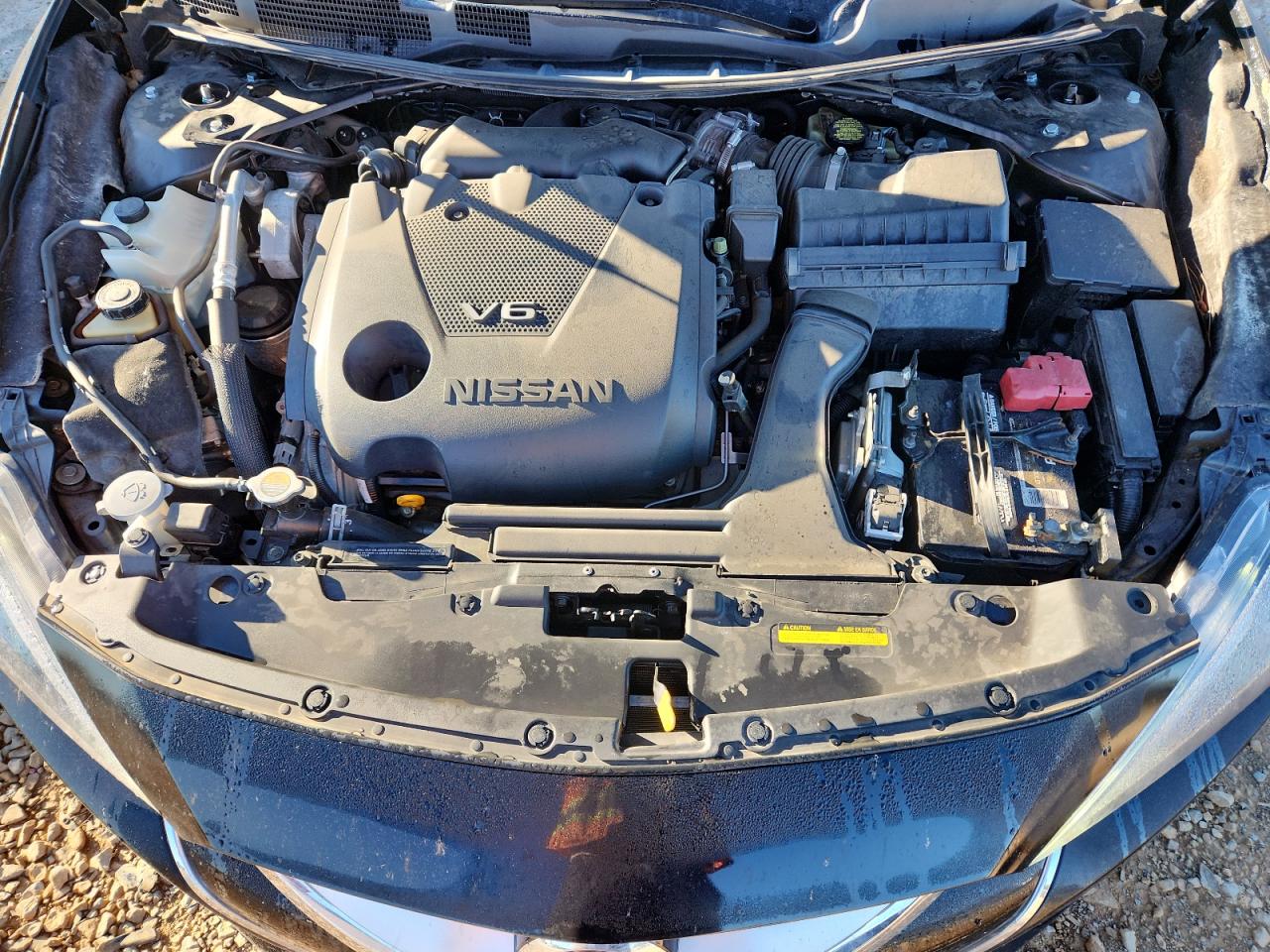 2016 Nissan Maxima 3.5S VIN: 1N4AA6APXGC445523 Lot: 87386645