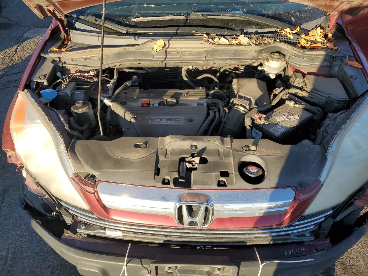 2007 Honda Cr-V Exl VIN: JHLRE48787C117158 Lot: 90354175