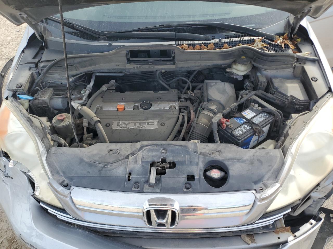 2007 Honda Cr-V Exl VIN: JHLRE48727C015077 Lot: 82704125