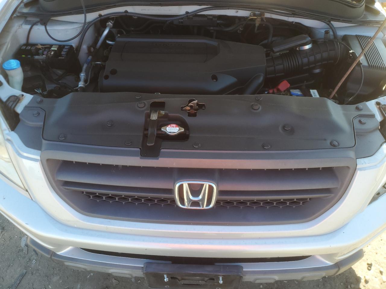 2004 Honda Pilot Exl VIN: 2HKYF18524H540921 Lot: 85381755