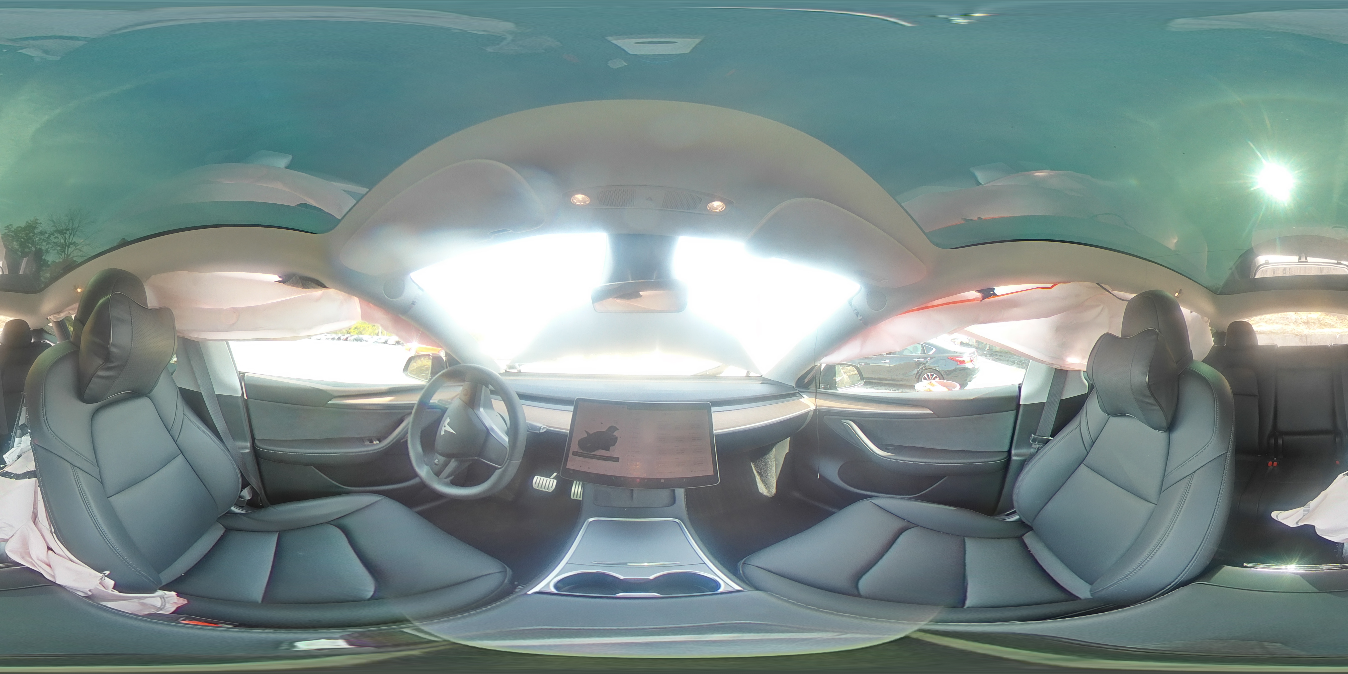 2024 Tesla Model Y VIN: 7SAYGDEFXRA303451 Lot: 81822045