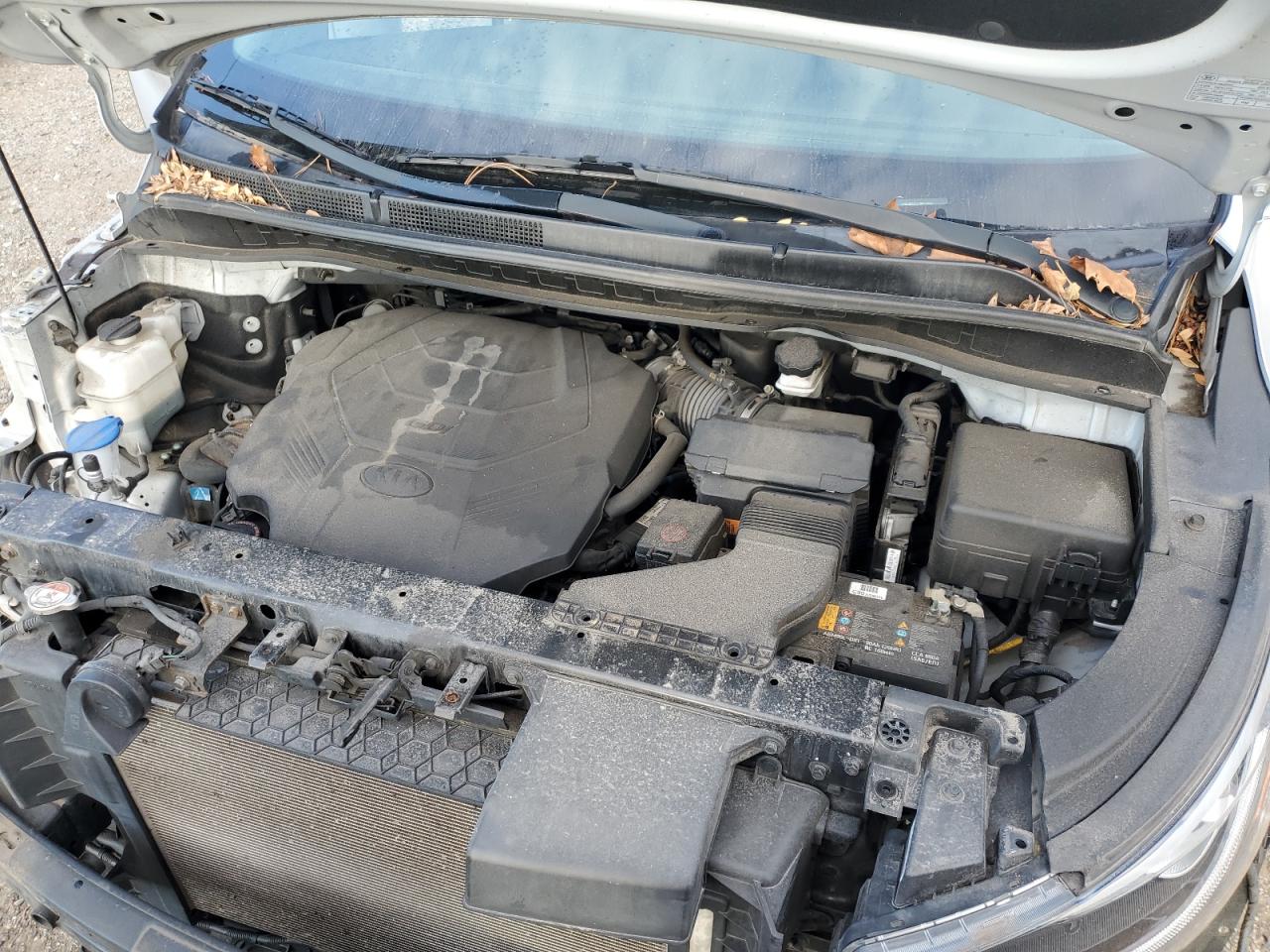 2020 Kia Sedona Lx VIN: KNDMB5C13L6625586 Lot: 89470845