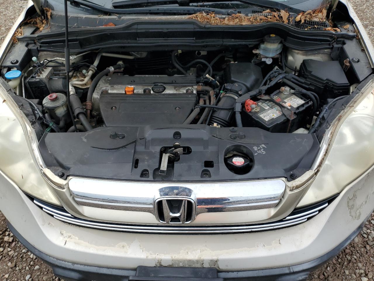 2007 Honda Cr-V Ex VIN: JHLRE48517C046299 Lot: 82344225