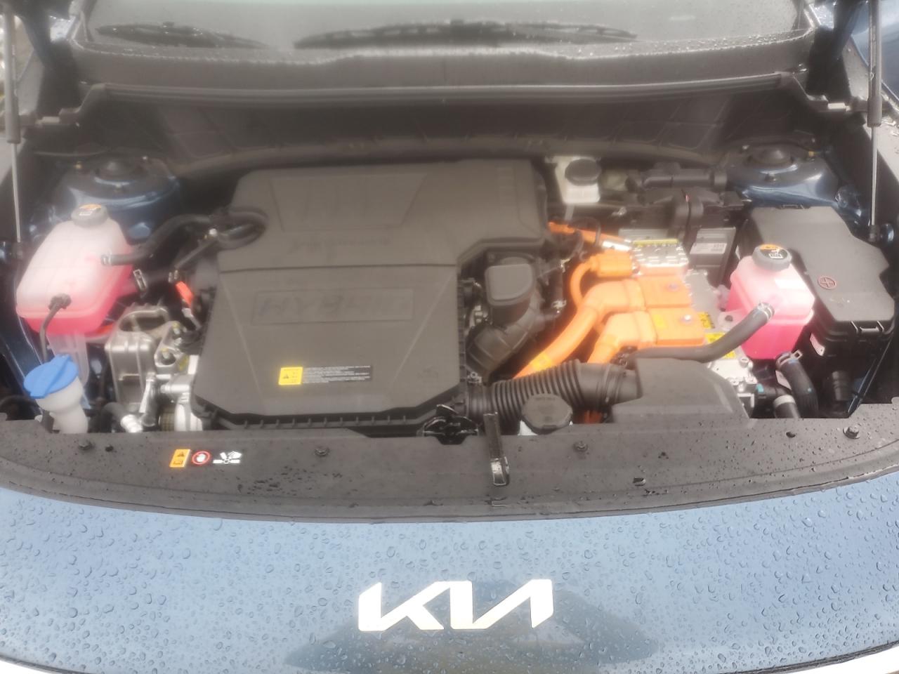 2025 Kia Niro Ex VIN: KNDCR3LE1S5293795 Lot: 82721285