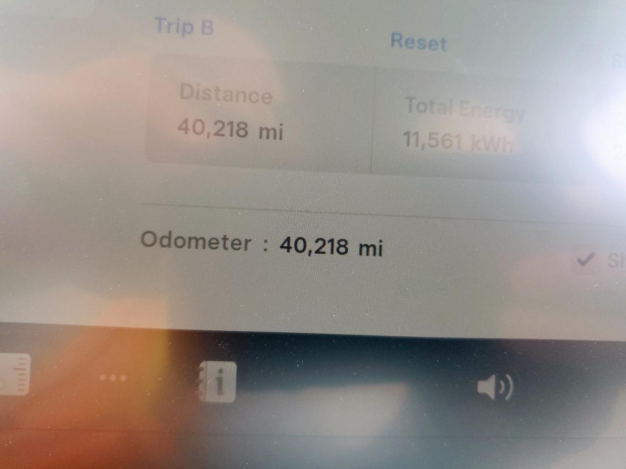 2023 Tesla Model Y VIN: 7SAYGDEF3PF958535 Lot: 85333755