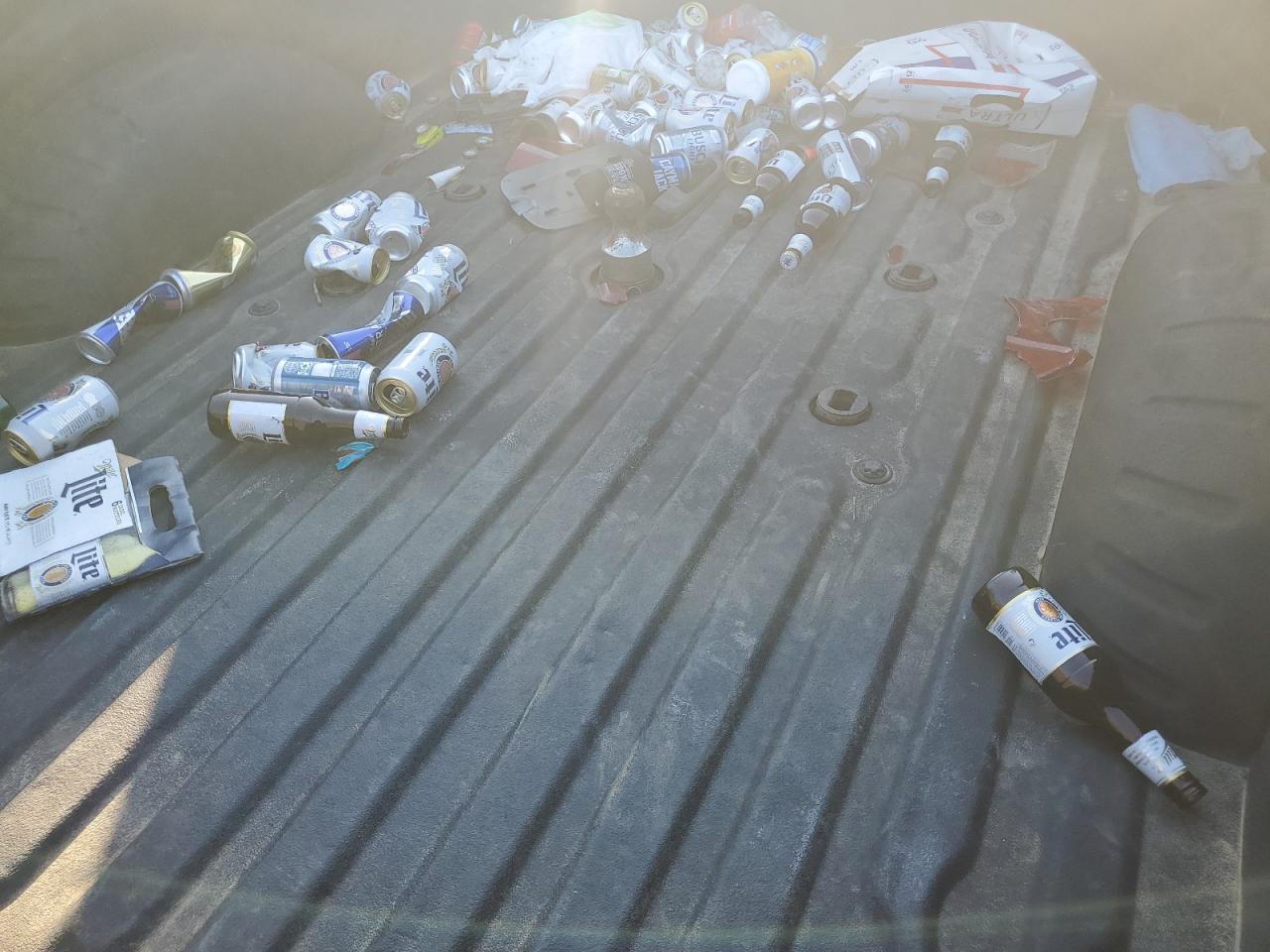 2017 Ford F250 Super Duty VIN: 1FT7W2BT0HEC73745 Lot: 89566015