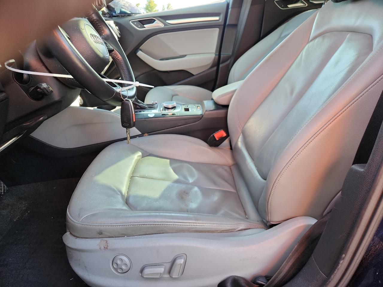 2017 Audi A3 Premium Plus VIN: WAUJ8GFF9H1065921 Lot: 84962615