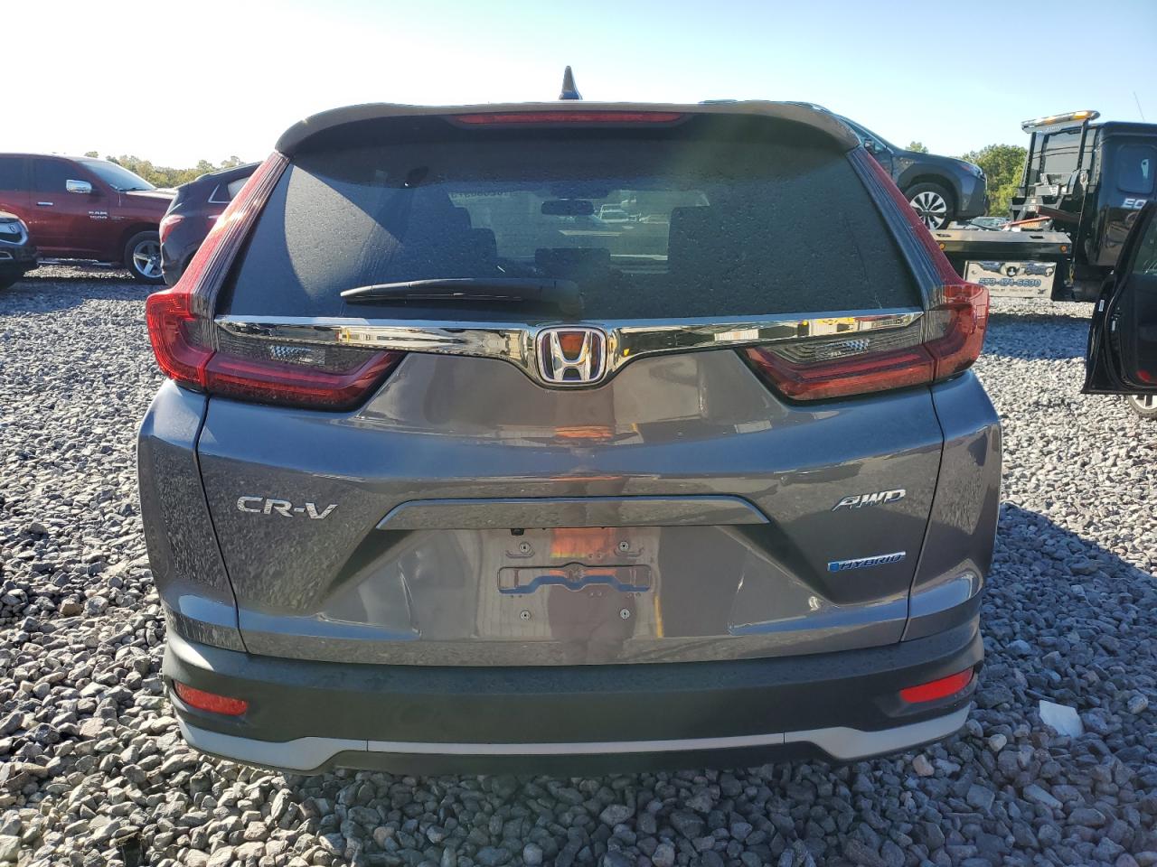 2022 Honda Cr-V Ex VIN: 5J6RT6H50NL031461 Lot: 82556975