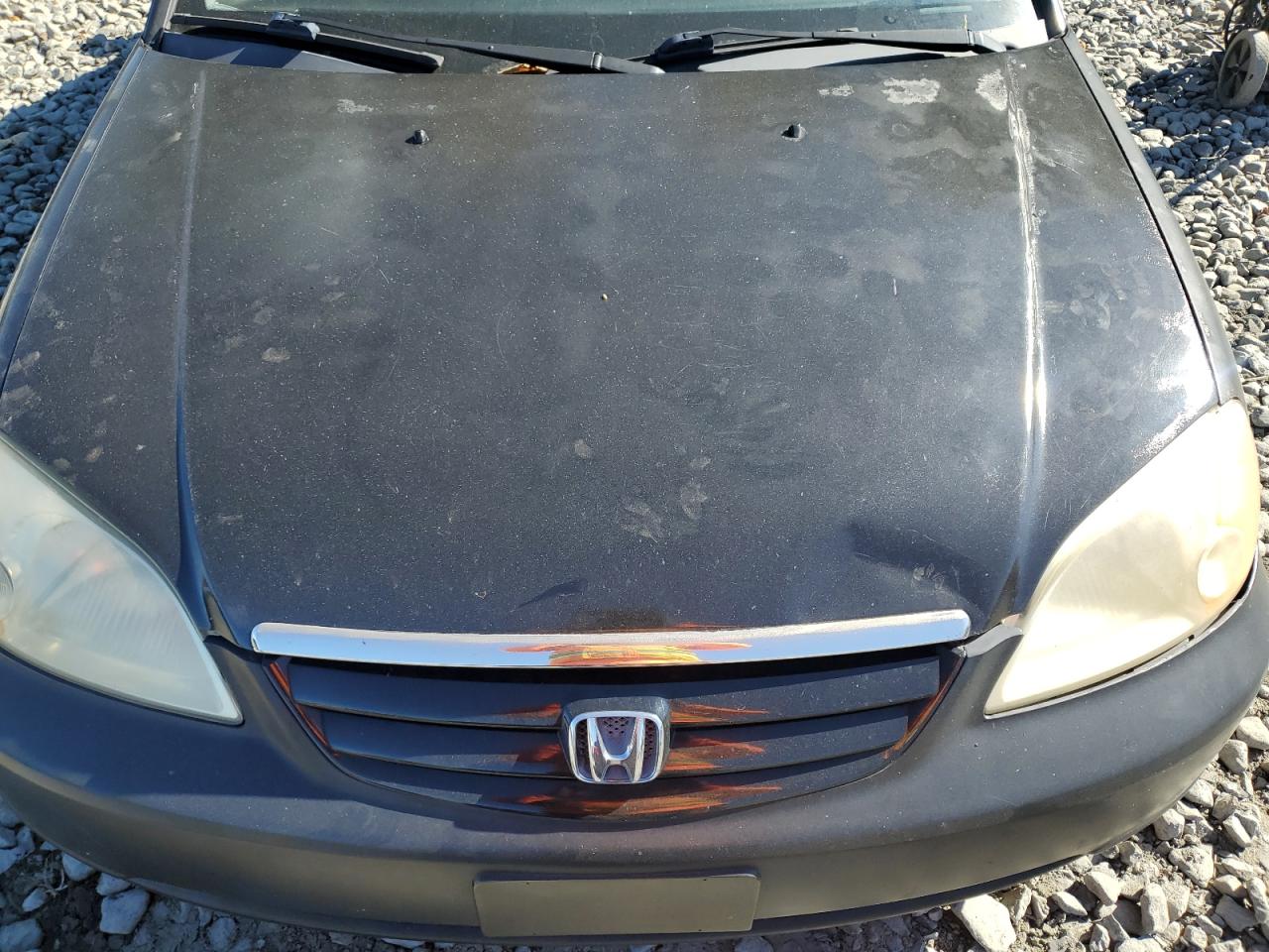 2003 Honda Civic Lx VIN: 2HGES16553H527445 Lot: 89491295