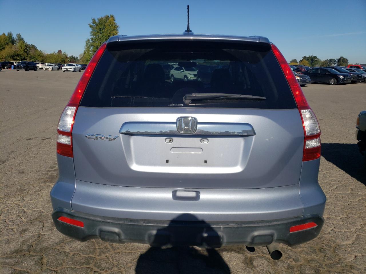 2008 Honda Cr-V Exl VIN: JHLRE48758C043313 Lot: 82401755