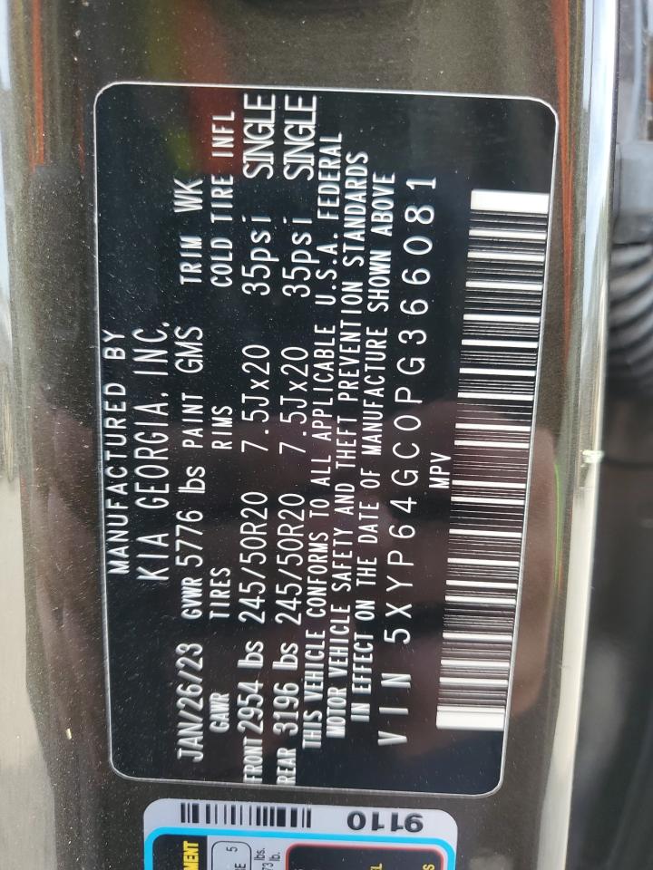 2023 Kia Telluride S VIN: 5XYP64GC0PG366081 Lot: 85896805