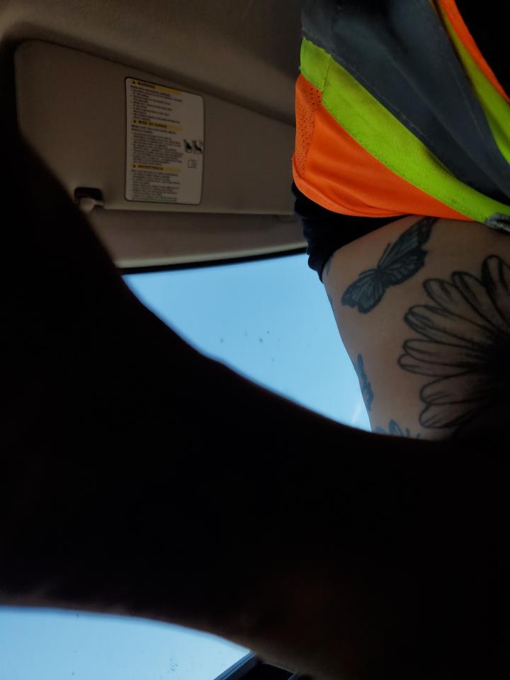 2016 Ram Promaster 2500 2500 High VIN: 3C6TRVDG2GE131754 Lot: 81498025