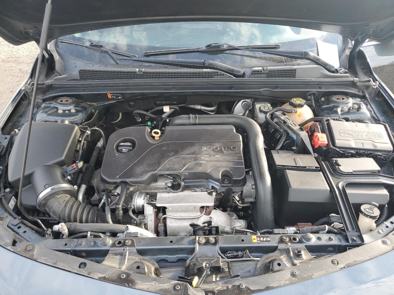 2019 Chevrolet Malibu Lt VIN: 1G1ZD5ST9KF119738 Lot: 86691975