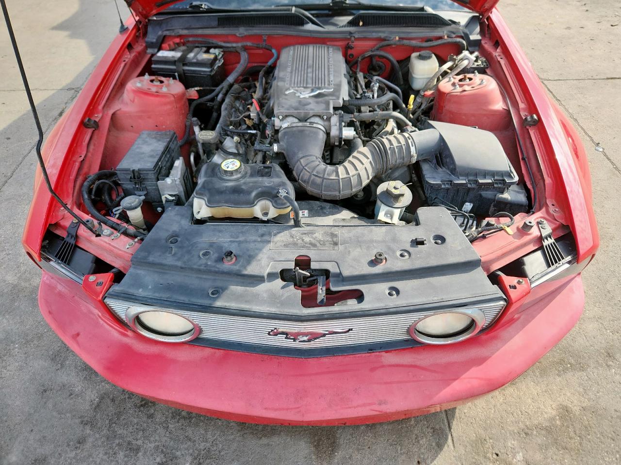 2007 Ford Mustang Gt VIN: 1ZVFT82H675362539 Lot: 85508945