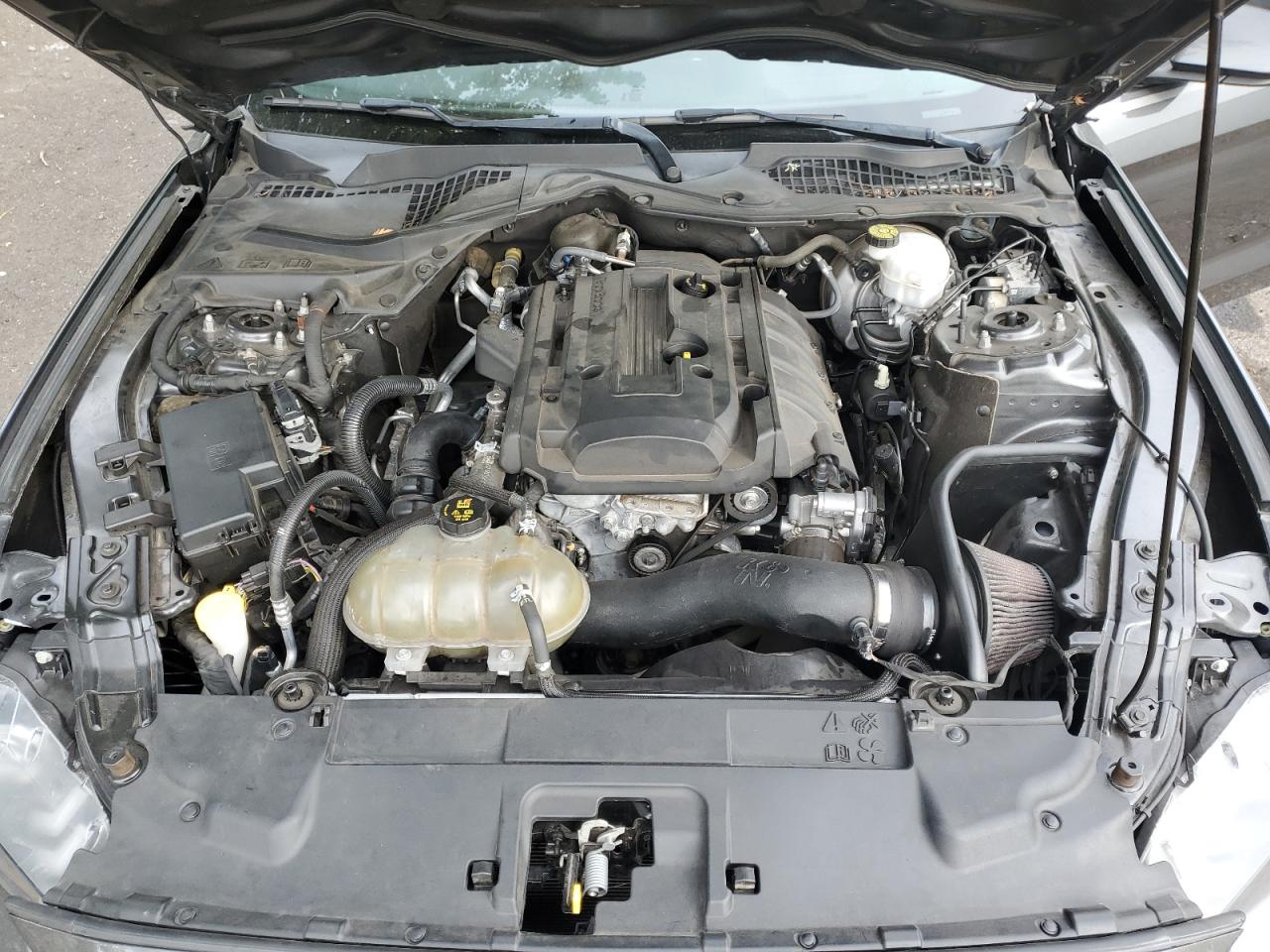 2019 Ford Mustang VIN: 1FA6P8THXK5112404 Lot: 82405155