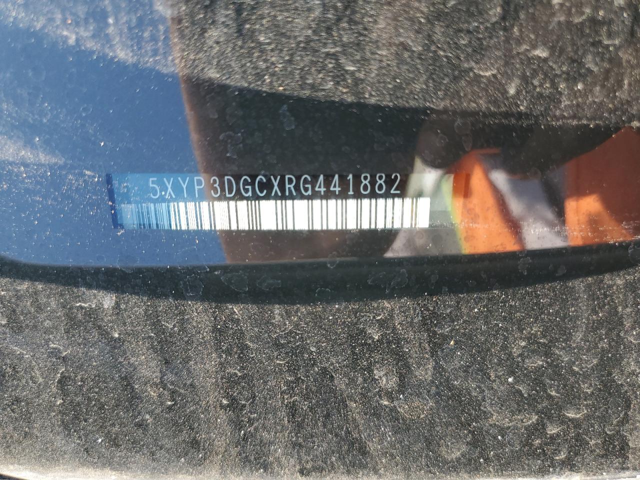 2024 Kia Telluride Ex VIN: 5XYP3DGCXRG441882 Lot: 85007275