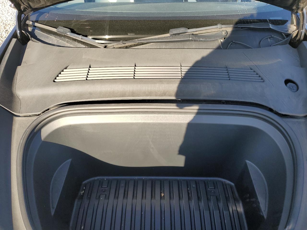 2022 Tesla Model Y VIN: 7SAYGDEE2NF309619 Lot: 81777025