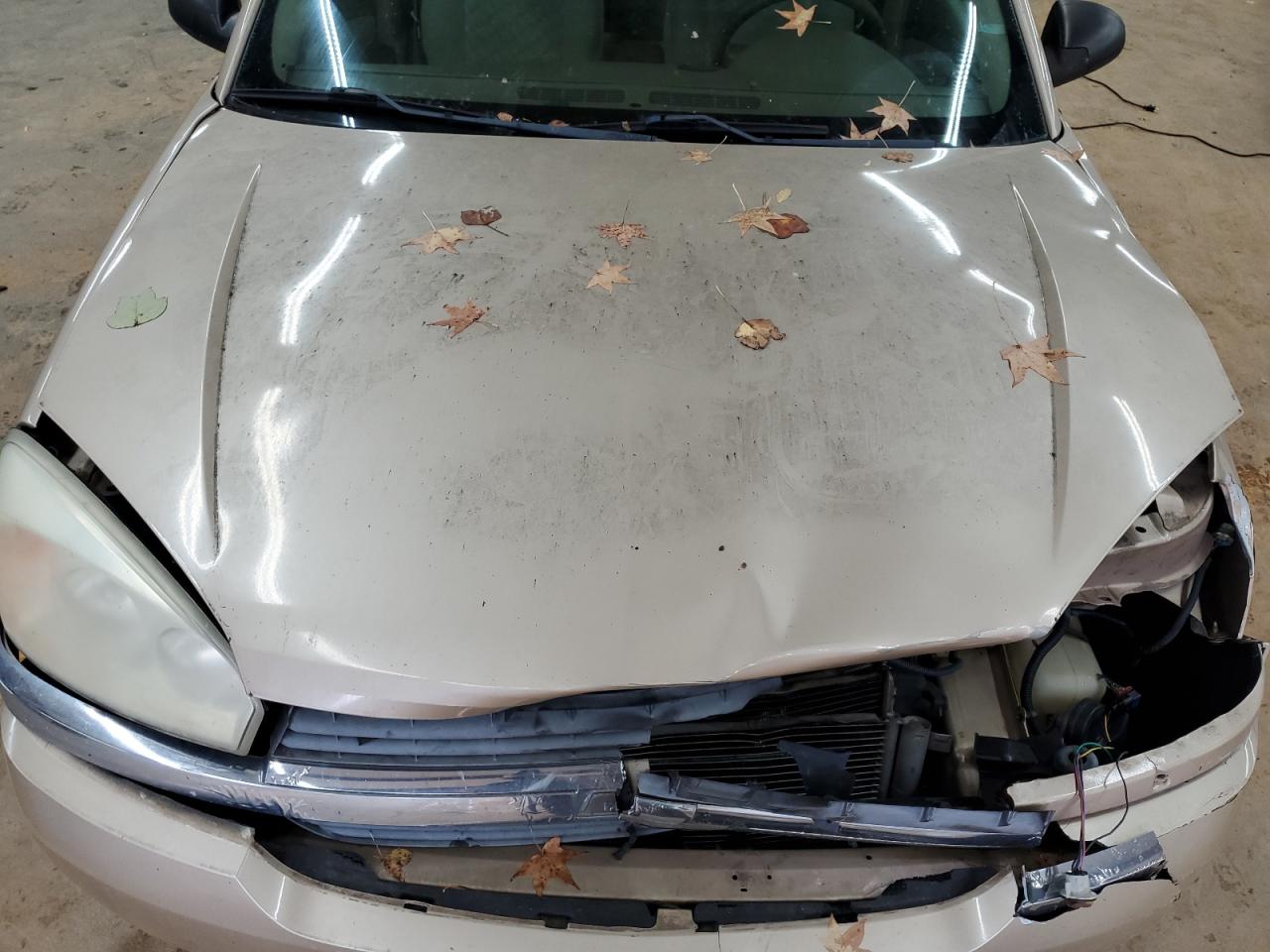 2005 Chevrolet Malibu Ls VIN: 1G1ZT54805F223471 Lot: 90485045