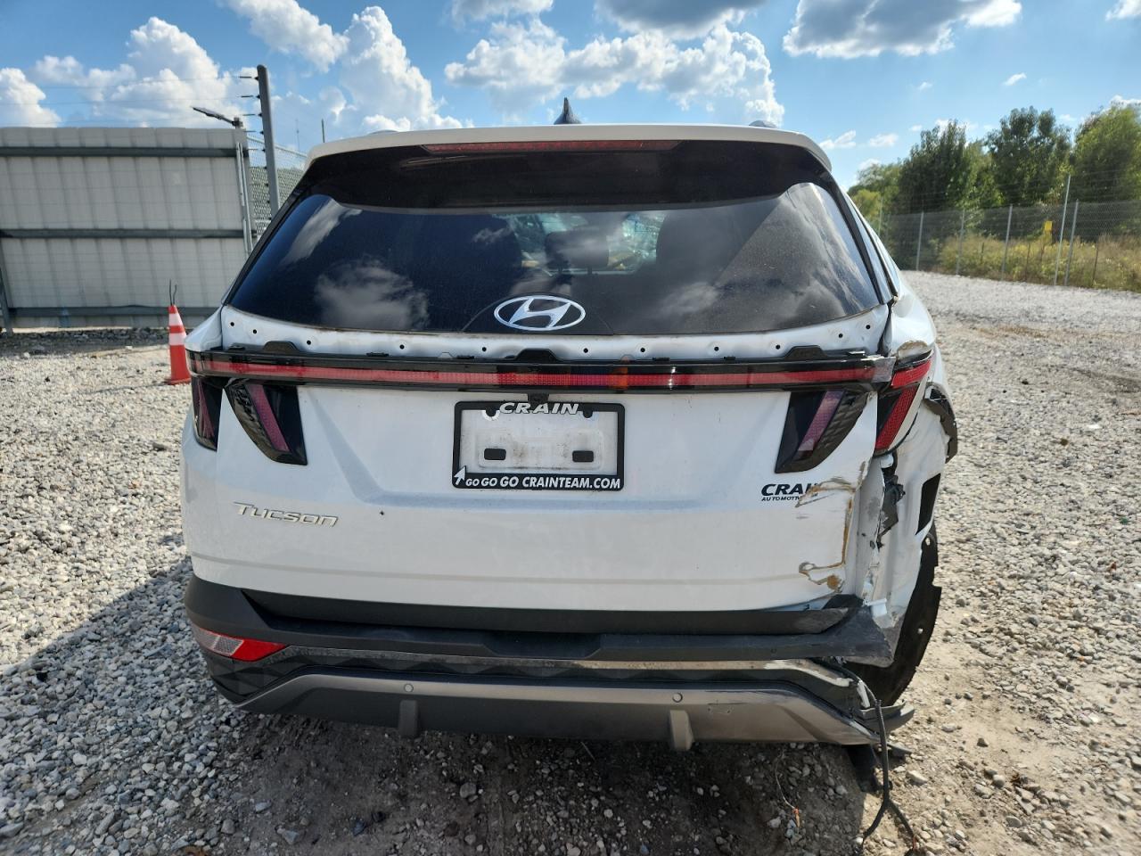 2022 Hyundai Tucson Limited VIN: 5NMJE3AE6NH126291 Lot: 84418425
