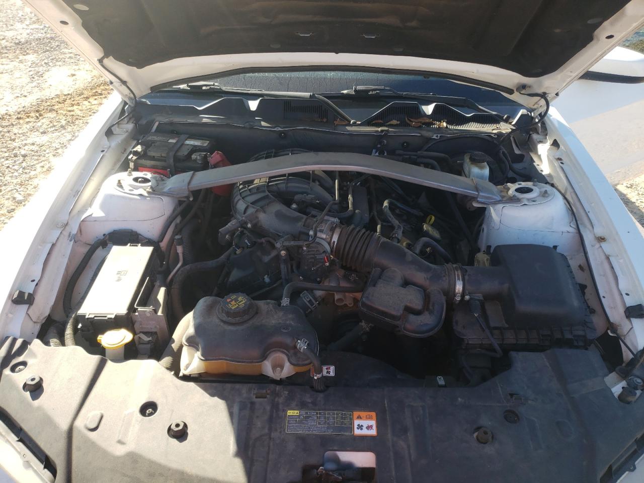 2013 Ford Mustang VIN: 1ZVBP8EM9D5207393 Lot: 71083185