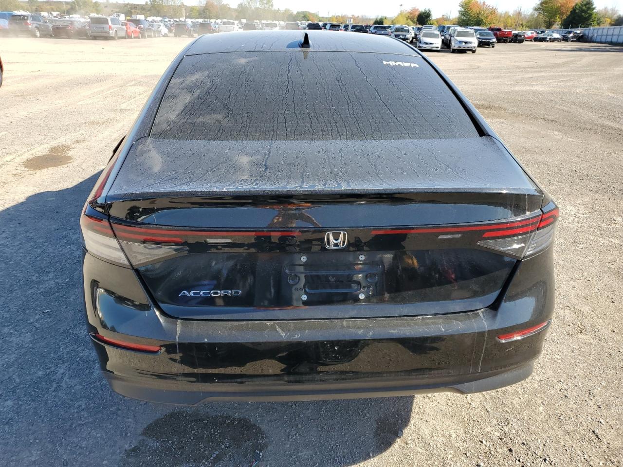 2024 Honda Accord Ex VIN: 1HGCY1F3XRA800083 Lot: 85709855