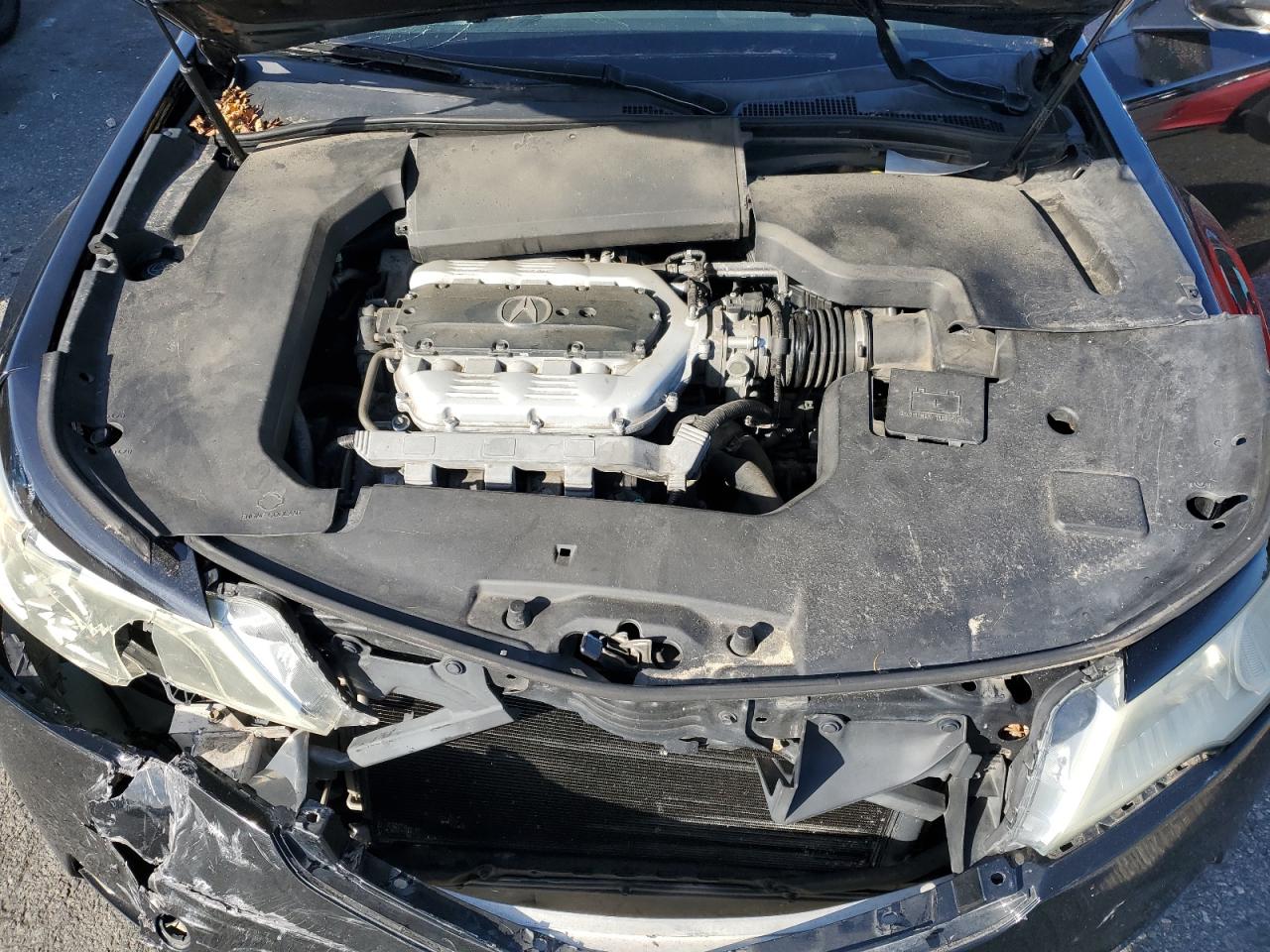 2010 Acura Tl VIN: 19UUA8F59AA019594 Lot: 84830375