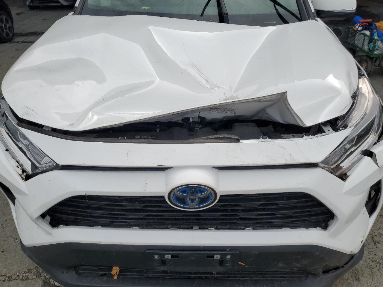 2021 Toyota Rav4 Xle VIN: 4T3RWRFV4MU045781 Lot: 84705075