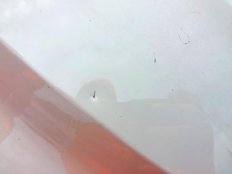 2024 VOLKSWAGEN POLO 1.0 TSI LIFE 5DR DSG