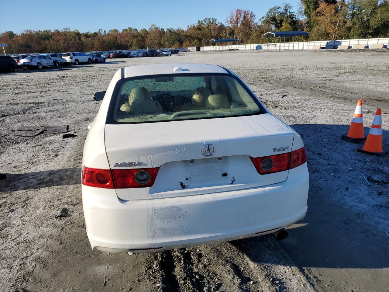 2008 Acura Tsx VIN: JH4CL96968C006148 Lot: 90069185