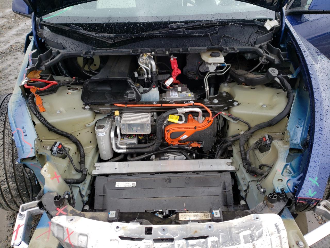 2023 Tesla Model Y VIN: 7SAYGDEE8PF881460 Lot: 82178565