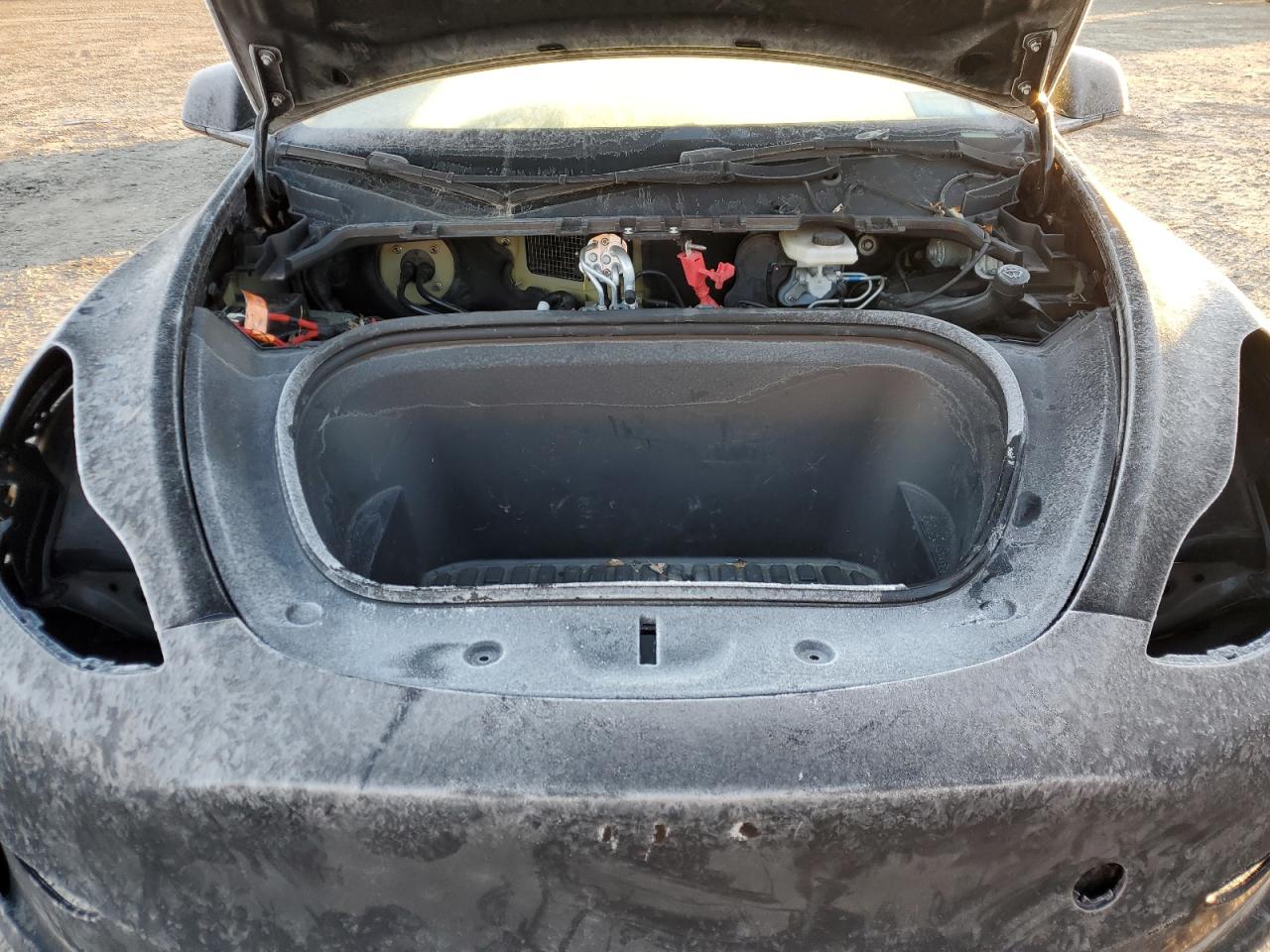 2023 Tesla Model Y VIN: 7SAYGDEF9PF769517 Lot: 82755755