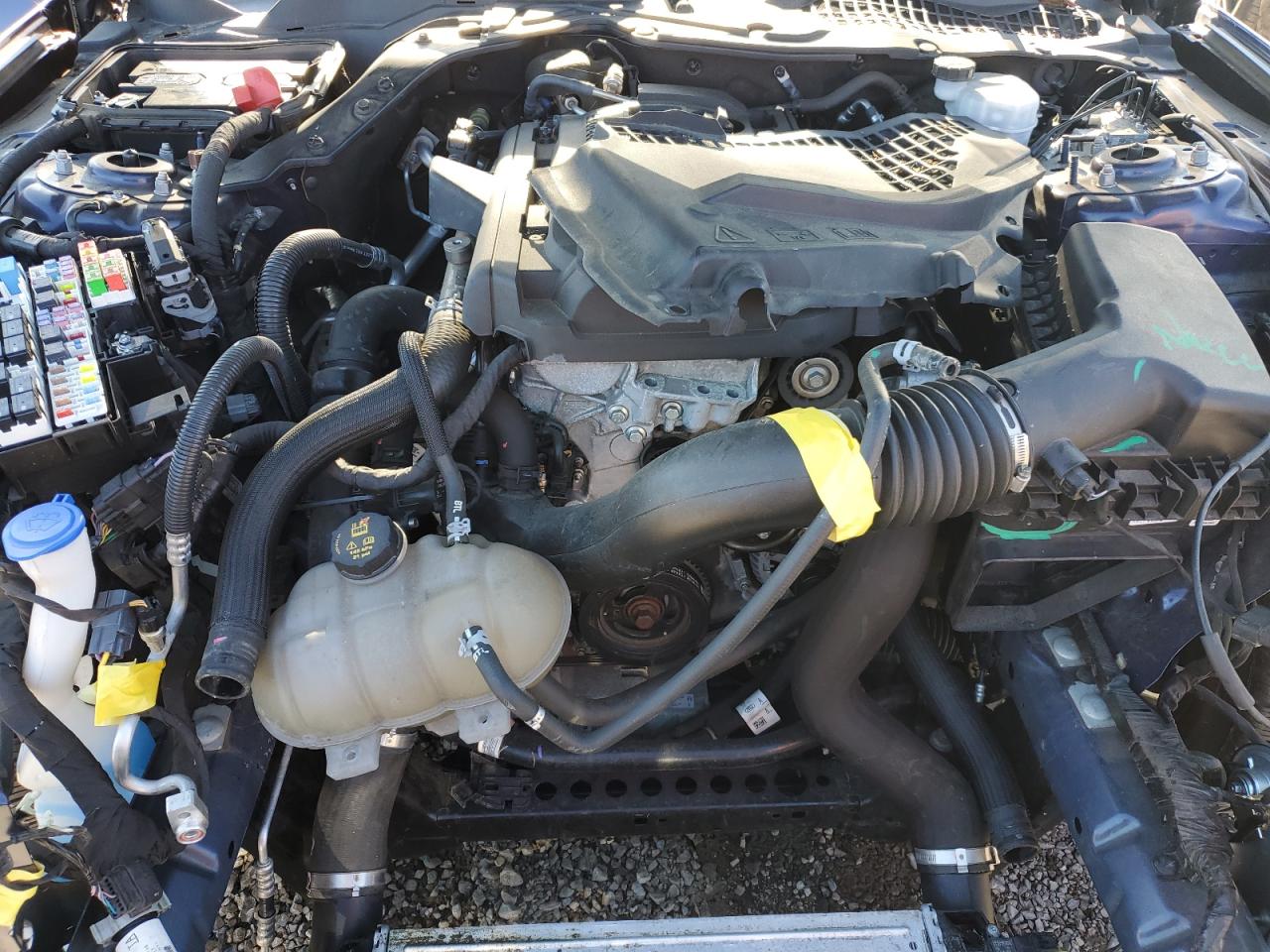 2020 Ford Mustang VIN: 1FA6P8TH9L5174281 Lot: 82708885