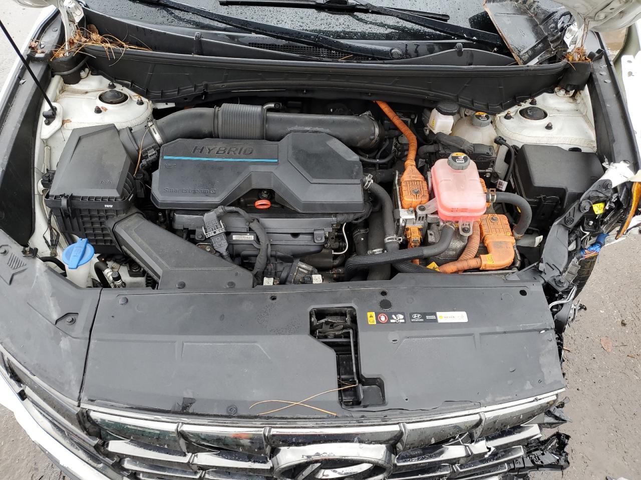 2022 Hyundai Tucson Limited VIN: KM8JECA19NU027255 Lot: 86289755