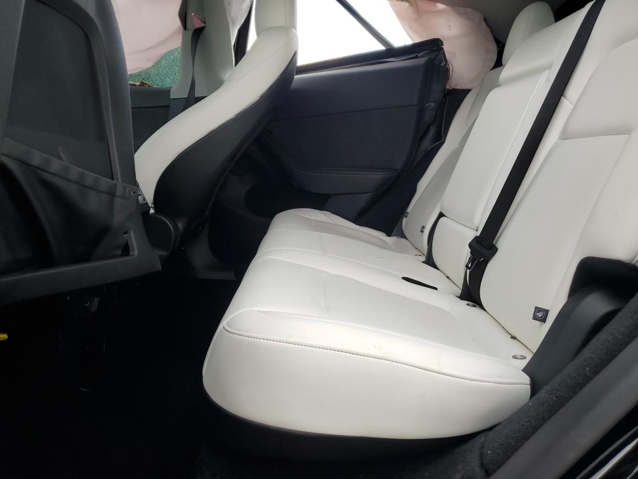 2024 Tesla Model Y VIN: 7SAYGDEE7RA323373 Lot: 81955545