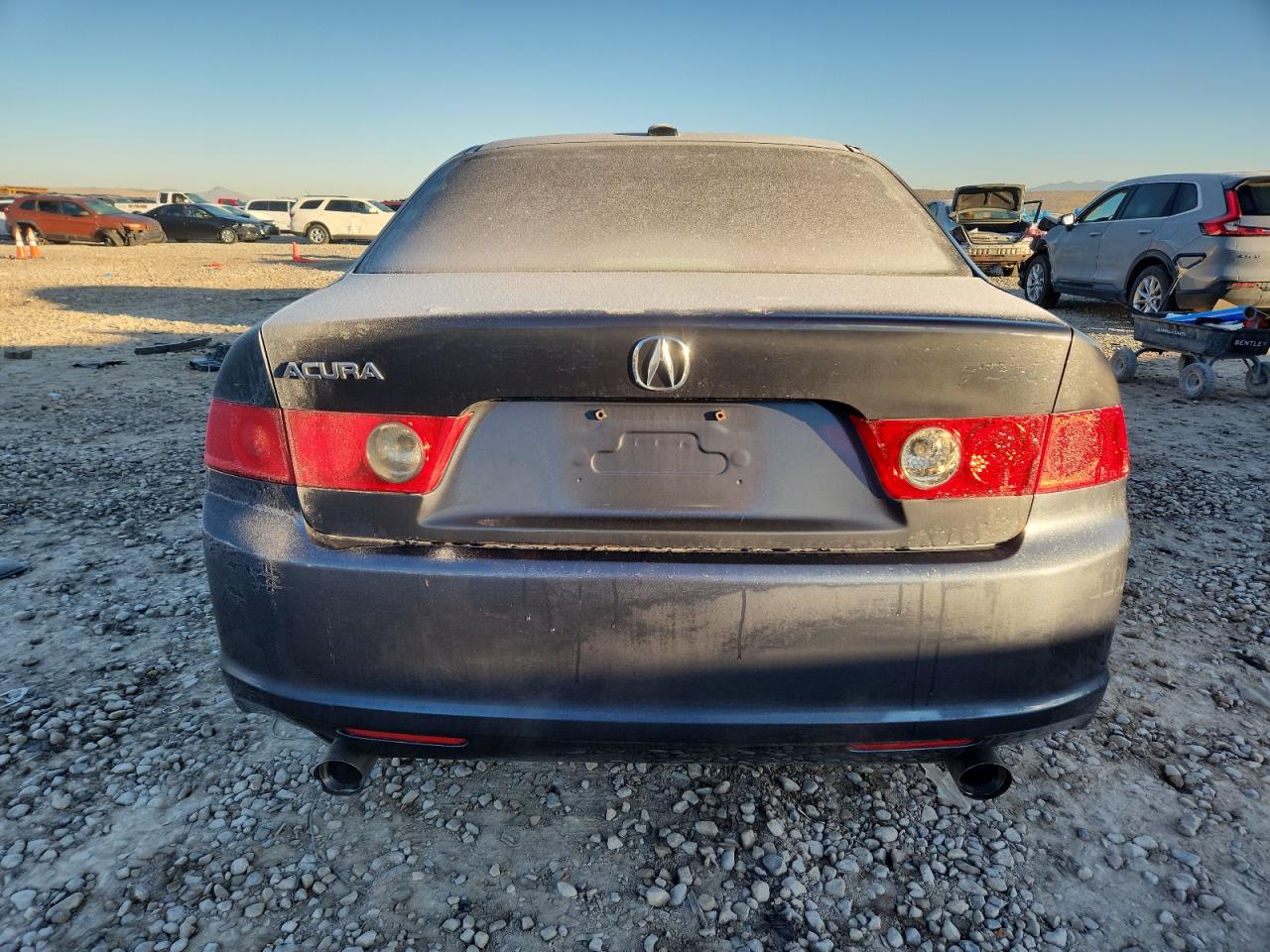 2006 Acura Tsx VIN: JH4CL96806C009678 Lot: 90713975