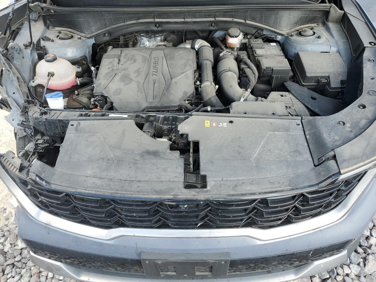 2024 Kia Sorento Sx VIN: 5XYRK4JF6RG256582 Lot: 84907245