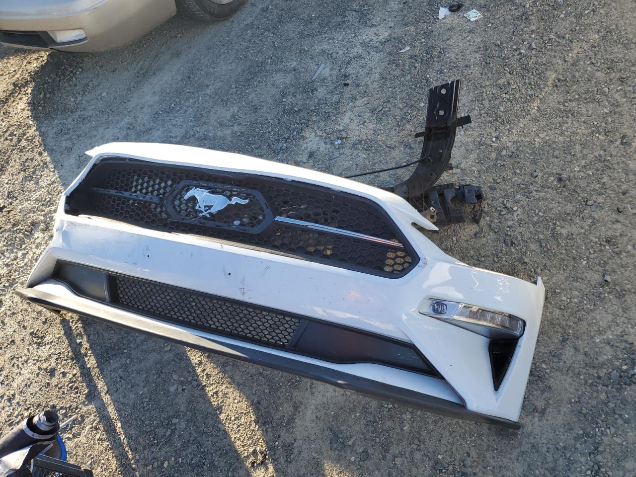 2020 Ford Mustang VIN: 1FA6P8TH1L5186845 Lot: 82209565