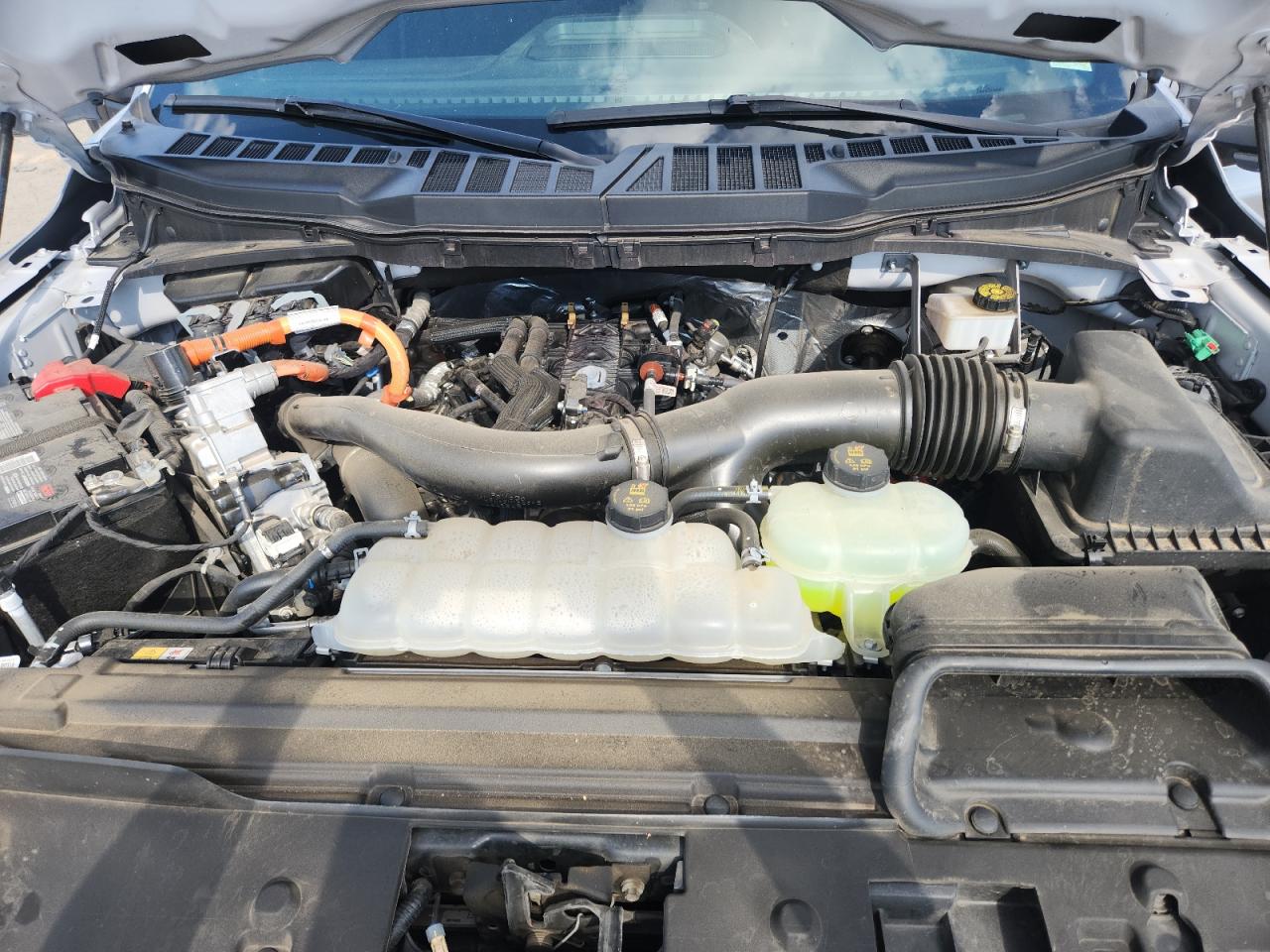 2024 Ford F150 Xlt VIN: 1FTFW3LD1RFA08093 Lot: 87263865