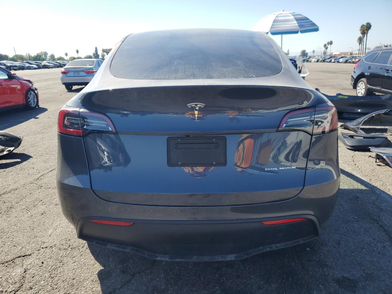 2023 Tesla Model Y VIN: 7SAYGDEE4PF624909 Lot: 81964745