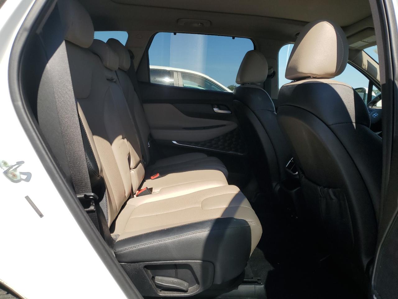 2019 Hyundai Santa Fe Limited VIN: 5NMS53AD4KH030845 Lot: 87262955