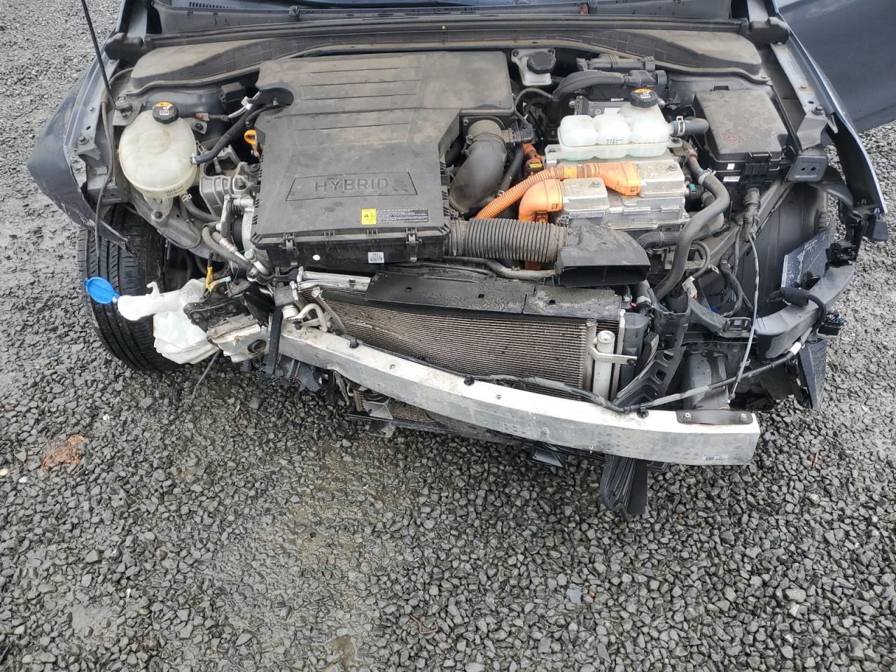 2019 Hyundai Ioniq Blue VIN: KMHC65LC1KU170504 Lot: 86186145