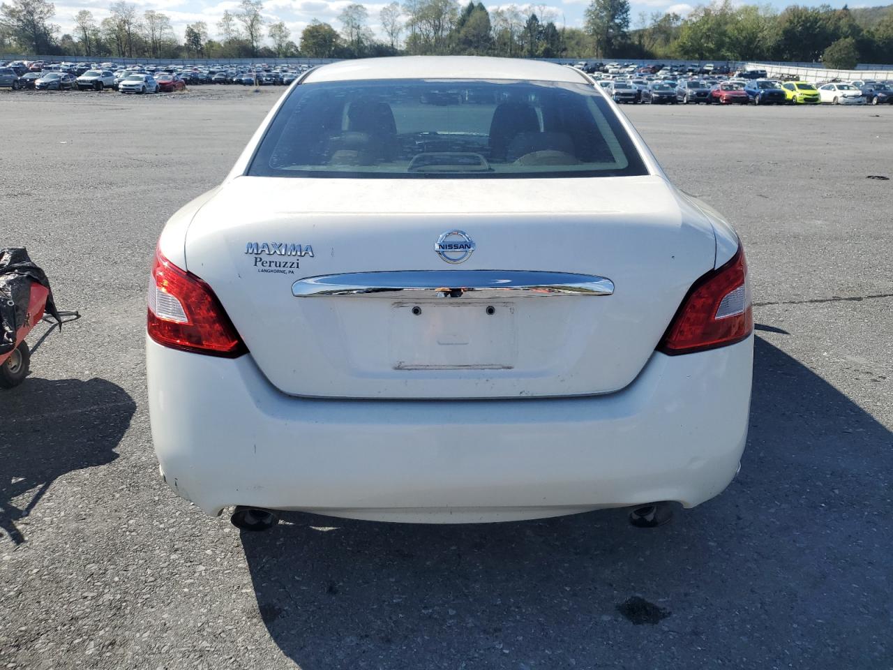 2010 Nissan Maxima S VIN: 1N4AA5AP4AC811266 Lot: 86262775